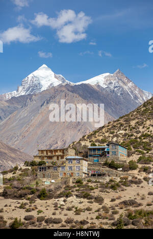 Touristen-Lodge auf dem Annapurna Circuit Trek mit schneebedeckten Bergen im Hintergrund im Himalaya, Nepal Stockfoto