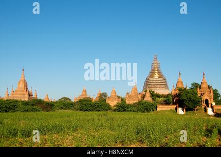 Dhammayazika-Pagode in Bagan, Myanmar Komplex... Stockfoto