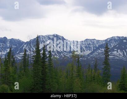 Blick auf Mt. McKinley von Denali auf 3 Alaska Highway Stockfoto