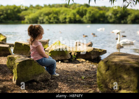 Niedliche kleine Mädchen saß auf einem Felsen beobachten Schwäne auf einem britischen See im Sommer Stockfoto