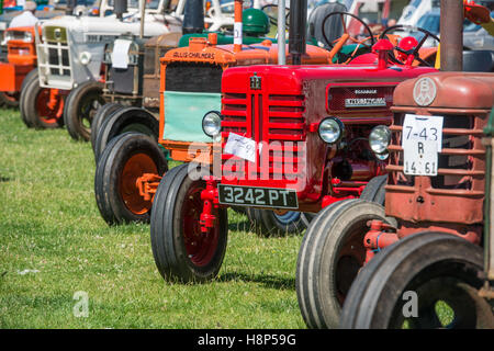 England, Yorkshire - Traktoren auf der Masham Dampf-Rallye, eine antike Show für alte Traktoren, Autos und Lokomotiven in gezeigt werden Stockfoto