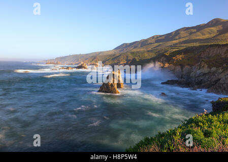 Felsige Küstenlinie. Garrapata State Park, California, United States. Stockfoto