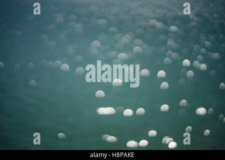 Strahlendes Sonnenlicht Bokeh auf dem türkisblauen Seewasser, abstrakten Hintergrund Stockfoto