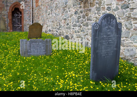 Kleinen Celandines (Ficaria Verna) Blüte auf einem Friedhof. Montgomery, Powys, Wales. April. Stockfoto