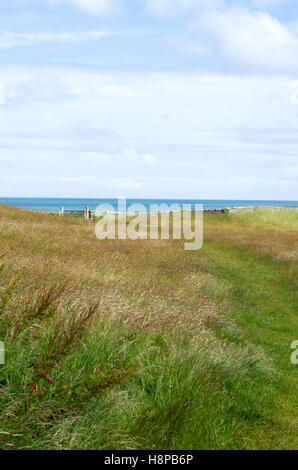 Schöne Aussicht, Blick auf das Meer entlang der malerischen South West Coastal Path in der Nähe von Moelfre, Anglesey, Nordwales Stockfoto
