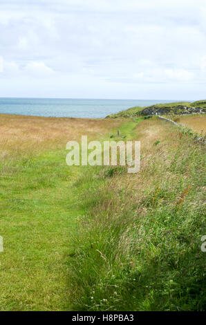 Schöne Aussicht, Blick auf das Meer entlang der malerischen South West Coastal Path in der Nähe von Moelfre, Anglesey, Nordwales Stockfoto