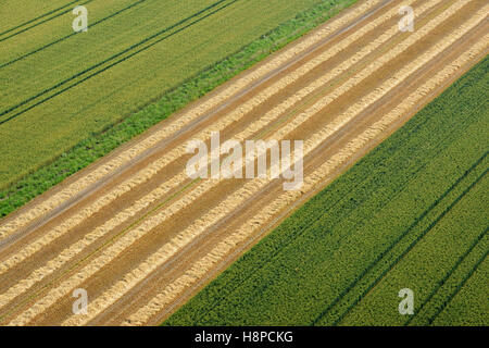 Luftaufnahme über Anbauflächen im Departement Marne (Nordost-Frankreich). Stockfoto