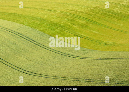 Luftaufnahme über Anbauflächen im Departement Marne (Nordost-Frankreich). Stockfoto