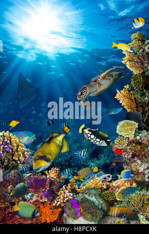 Unterwasser Korallenriff Landschaft im tiefblauen Meer mit bunten Fischen und Meerestieren Stockfoto