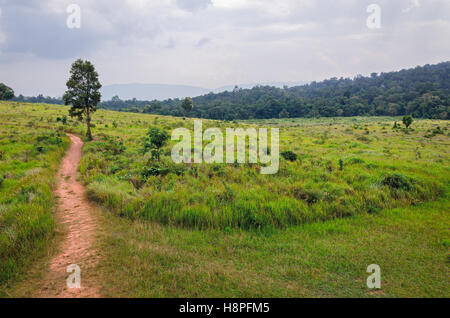 Schöne Landschaft in Khao Yai Nationalpark Thailand Stockfoto