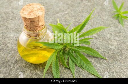 Marihuana-Blatt und Cannabis-Öl auf Stome Tisch Stockfoto