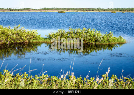 Florida, Süd, Merritt Island, Merritt Island National Wildlife Refuge, Black Point Wildlife Drive, Wasser, Landschaft, Besucher reisen Reisetour Tourist t Stockfoto