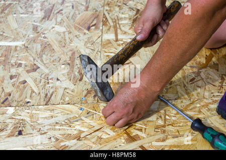 Hammer und Nagel. Ein Nagel gehämmert in Holz, Men at Work. Stockfoto