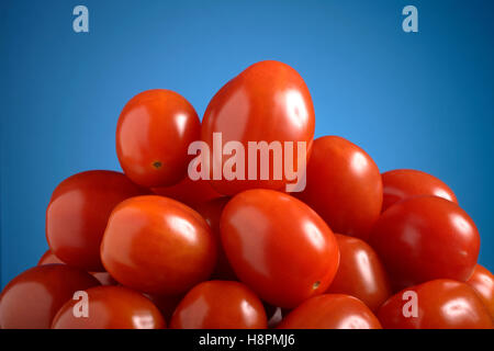 Baby Eiertomaten Stockfoto