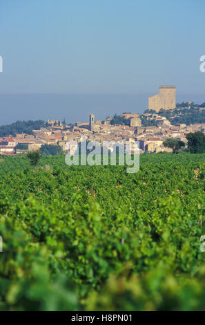 Weinberg, Weinbau, berühmten Wein-Dorf Chateauneuf du Pape, Provence, Frankreich, Europa Stockfoto