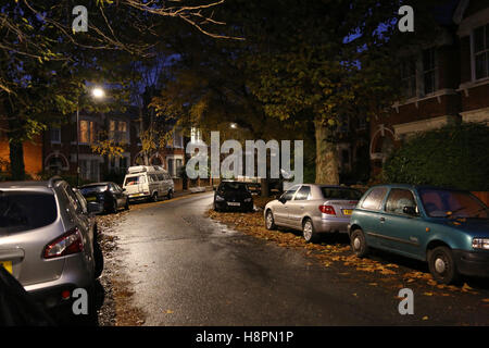 Herbst Blätter bedecken die Bürgersteige und Straßen in einer typischen Süd-London-Straße nach Einbruch der Dunkelheit auf eine nasse Nacht Stockfoto