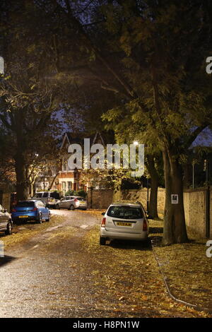 Herbst Blätter bedecken die Bürgersteige und Straßen in einer typischen Süd-London-Straße nach Einbruch der Dunkelheit auf eine nasse Nacht Stockfoto