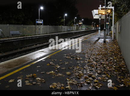 Herbstblätter auf der Strecke und die Plattform auf ein South London Railway Station. Blätter sind berüchtigt für die Entstehung von Zugverspätungen. Stockfoto