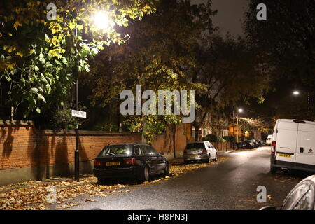 Herbst Blätter bedecken die Bürgersteige und Straßen in einer typischen Süd-London-Straße nach Einbruch der Dunkelheit auf eine nasse Nacht Stockfoto