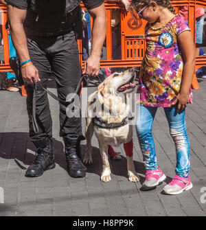 K9 Medikament Erkennung Hund öffentliche Ausstellung Stockfoto