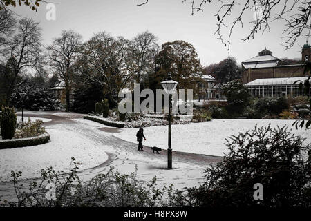 Schnee in Buxton, Derbyshire, England heute (Mittwoch, 9. November 2016). Eine Frau geht ihren Hund durch Pavillon Gärten. Stockfoto