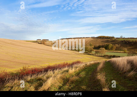 Die malerische Patchwork-Felder auf den Hügeln der Yorkshire Wolds Landschaft im Herbst. Stockfoto