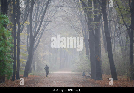 Berlin, Deutschland. 16. November 2016. Ein Jogger läuft durch den Tiergarten im Nebel in Berlin, Deutschland, 16. November 2016. Foto: Kay Nietfeld/Dpa/Alamy Live News Stockfoto