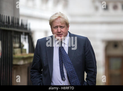 Boris Johnson, Außenminister und MP für Uxbridge und South Ruislip, bei Nummer 10 Downing Street für eine Kabinettssitzung Stockfoto