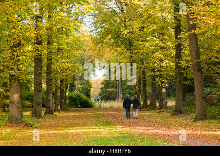 Paar zu Fuß unterwegs im Herbst auf gut Boekesteyn, mit Laub in Wäldern bedeckt ist Graveland, Niederlande Stockfoto