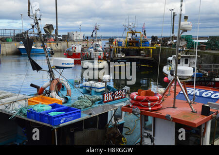 Angelboote/Fischerboote und Sportboote in gemeinsame Harbour, Northumberland Stockfoto