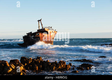 Afrikas; Südafrika; Afrikanische; Western Cape; Agulhas; Nationalpark; Agulhas Nationalpark; Südlicher; Südlichen; Südlichste; T Stockfoto