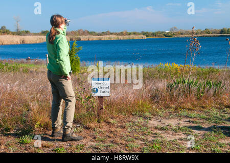 Vogelbeobachtung auf West Pond Trail, Jamaica Bay Wildlife Refuge, Gateway National Recreation Area, New York Stockfoto