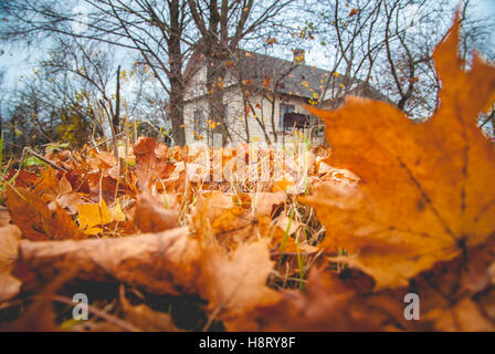 Herbstlaub und altes Haus in Lettland Stockfoto