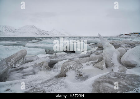 Meer Eis bilden - Pfannkuchen Eis - auf Adventfjorden, Spitzbergen Seeeis Im Adventfjorden Bei Longyearbyen, Svalbard, Norwegen Stockfoto