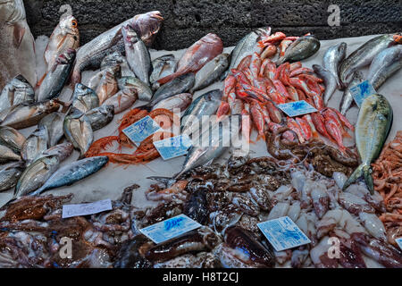 La Pescheria, Fischmarkt, Catania, Sizilien, Italien Stockfoto