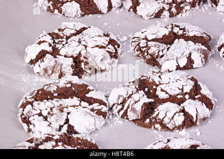 Hausgemachte Schokolade Crinkle Cookies frisch aus dem Ofen nach dem Backen auf Backpapier Stockfoto