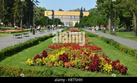 Dekorative Blumen in einem öffentlichen Park in Stadt von Vrnjacka Banja in Serbien Stockfoto