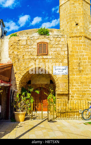 Der gewölbte Eingang führt in die Mahmoudiya-Moschee Stockfoto