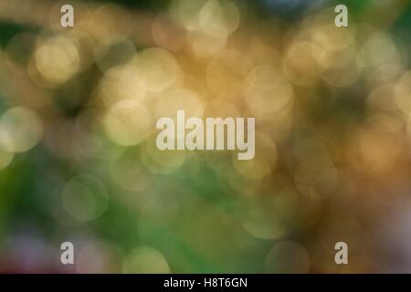 Abstrakte defokussierten grünen und gelben Hintergrund Stockfoto