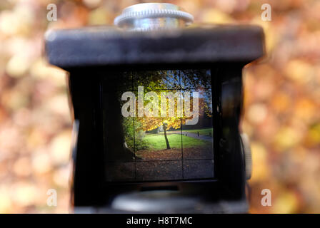 Blick durch den Sucher einer Zweilinsenreflexkamera der Herbstszene Stockfoto