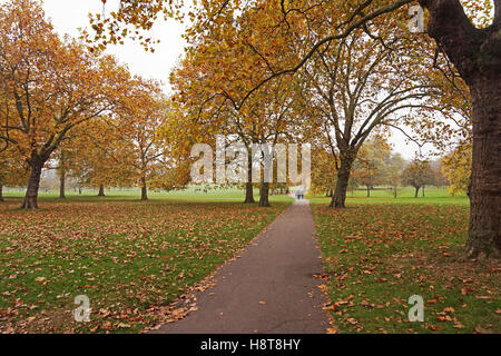 Primrose Hill auf eine Herbst Sonntagnachmittag, London Stockfoto