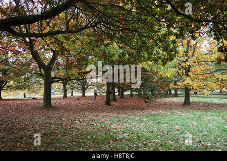 Primrose Hill auf eine Herbst Sonntagnachmittag, London Stockfoto