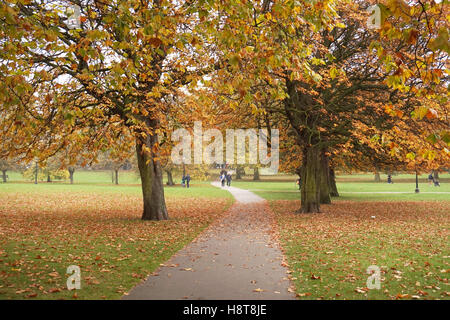 Primrose Hill auf eine Herbst Sonntagnachmittag, London Stockfoto