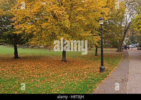 Primrose Hill auf eine Herbst Sonntagnachmittag, London Stockfoto