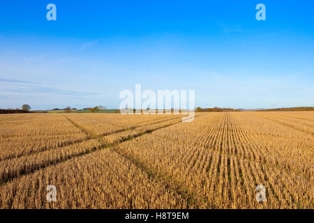 Muster, Linien und Texturen der Herbst Stoppelfeldern auf die Yorkshire Wolds. Stockfoto