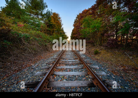 Ein Herbstmorgen Bild auf den Bahngleisen in Pinnacle North Carolina gefangen genommen. Stockfoto