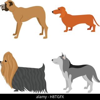 Hunde flach legen. Husky und Mastiff, Yorkshire Terrier und Dackel, Vektor-illustration Stock Vektor