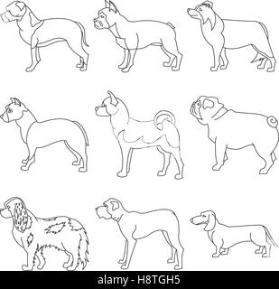 Auflistung der Rassen Hund in linearen Stil. Bulldog und Collie, Dackel und Spaniel, Vektor-illustration Stock Vektor