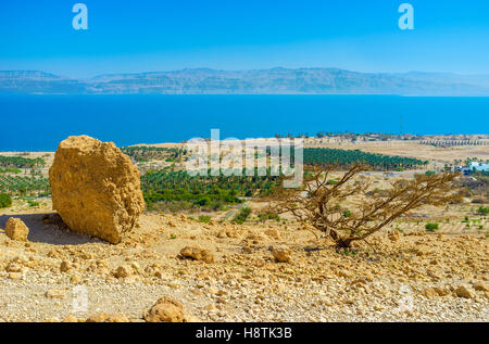 Die Aussicht vom Gipfel Berges auf den landwirtschaftlichen Anbau von Ein Gedi Kibbuz an der Küste des Toten Meeres, Israel. Stockfoto