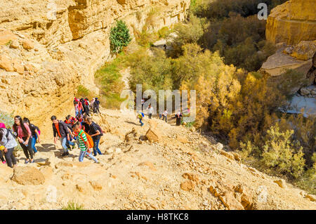 EIN GEDI, ISRAEL - 17. Februar 2016: Die Jugendlichen in das Wandern im Naturschutzgebiet bekommen neue Erfahrung, am 17. Februar in Ein Stockfoto